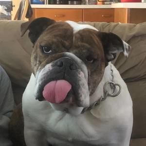 Meet your Posher, Gina marie